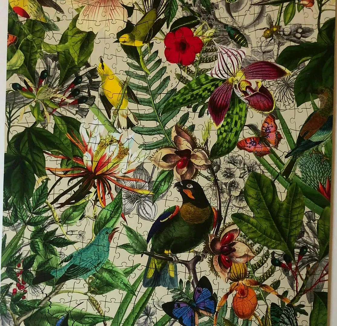 The Wentworth Tropical Rhapsody puzzle, a dense botanical print of parrots, orchids, ferns and butterflies in saturated color on a pale ground, with much of the surrounding foliage drawn as fine monochrome engraving.